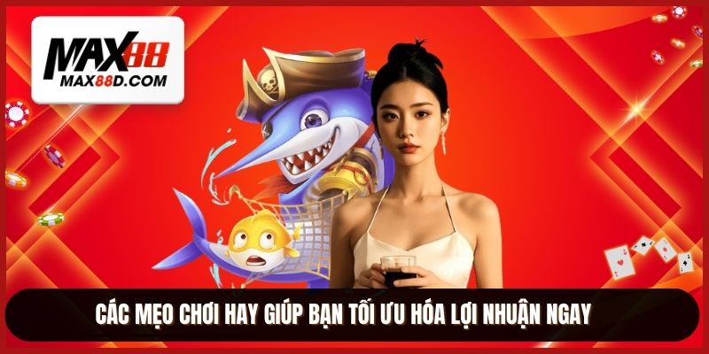 Các mẹo chơi hay giúp bạn tối ưu hóa lợi nhuận ngay