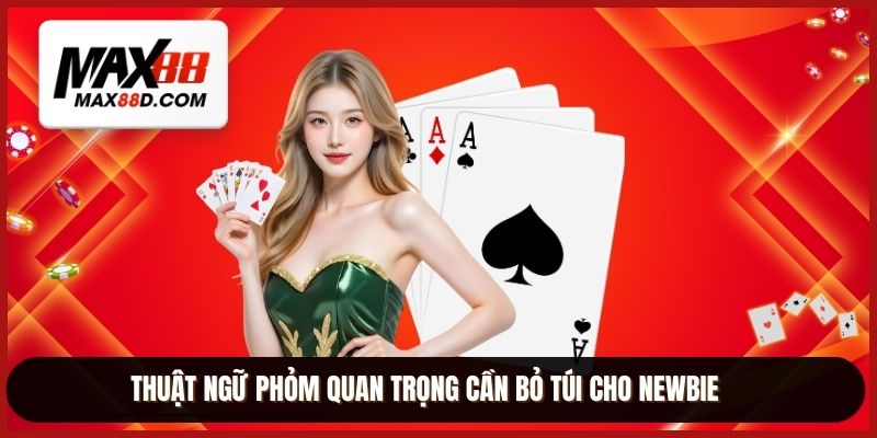 Thuật ngữ phỏm quan trọng cần bỏ túi cho newbie
